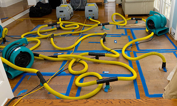 Professional Crawl Space Water Removal technician working in Abingdon, MD